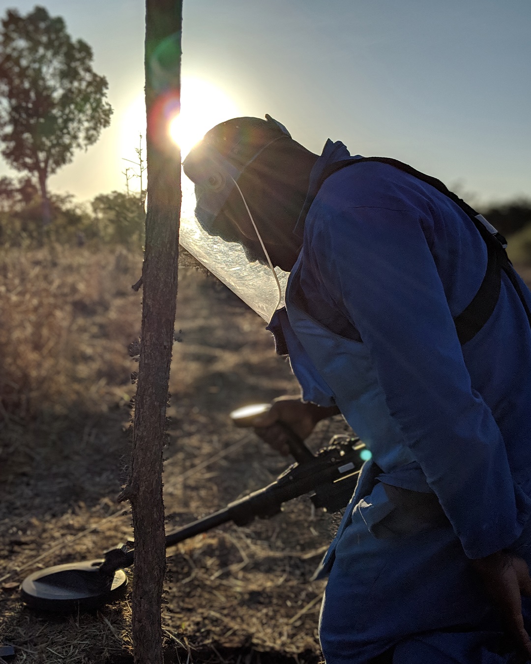 Credit: The HALO Trust